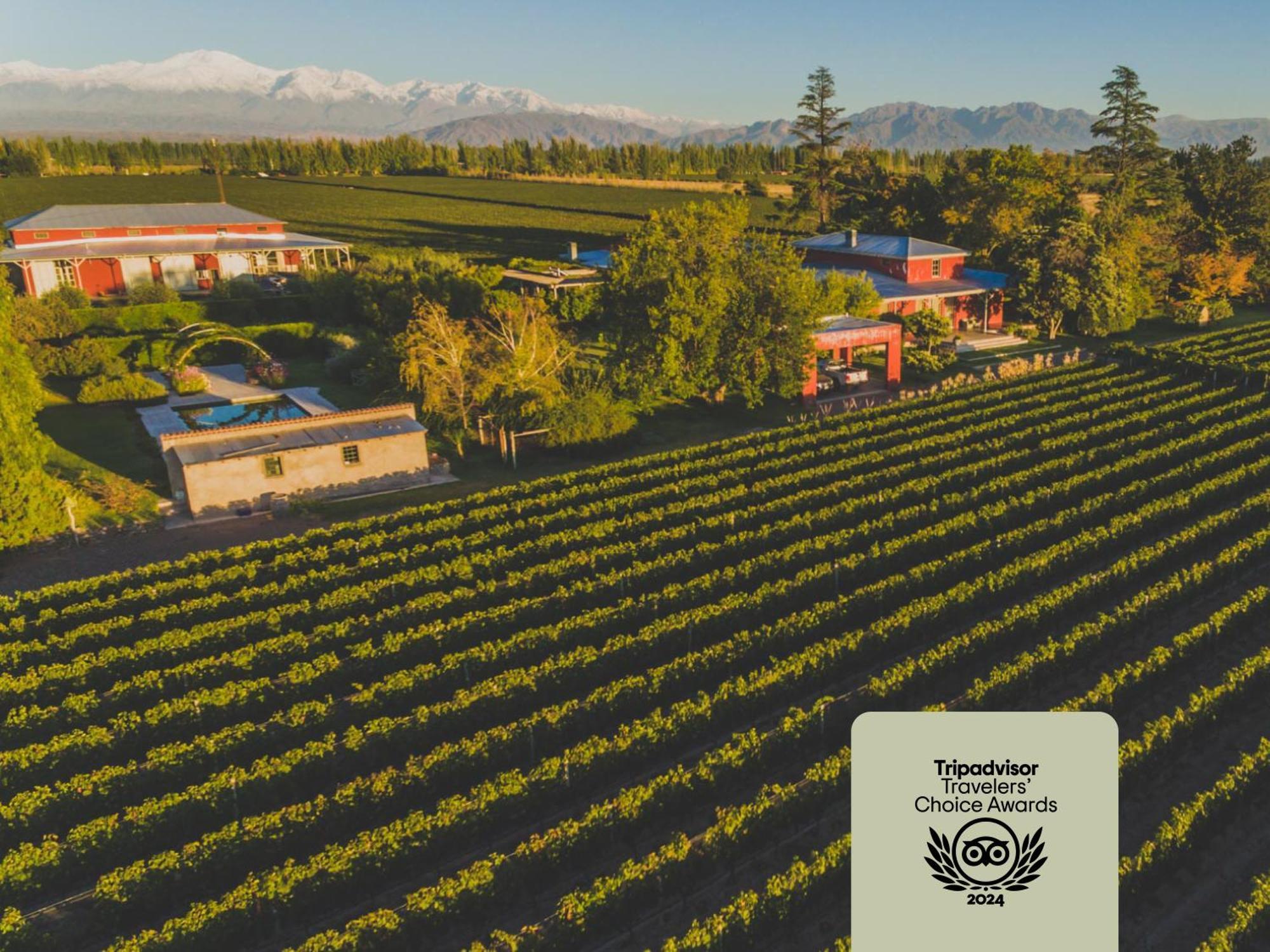 Enlace Wine House Lujan de Cuyo المظهر الخارجي الصورة
